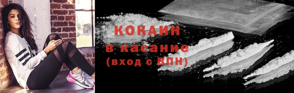 винт Горняк