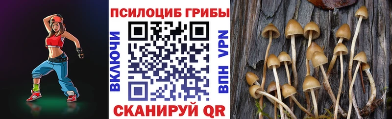 Галлюциногенные грибы MAGIC MUSHROOMS  Купить где  Белоозёрский 
